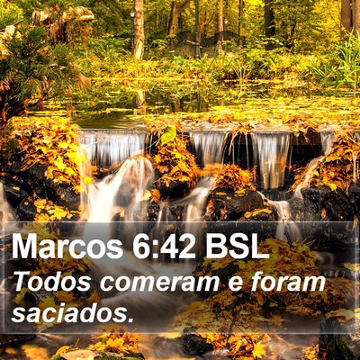 Marcos 6:42 BSL Bible Verse Image