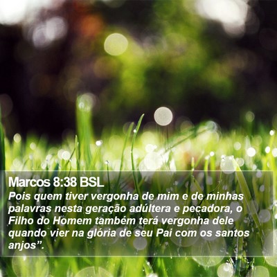 Marcos 8:38 BSL Bible Verse Image