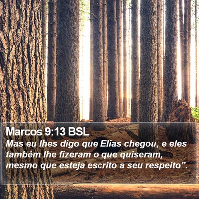 Marcos 9:13 BSL Bible Verse Image
