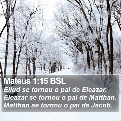 Mateus 1:15 BSL Bible Verse Image