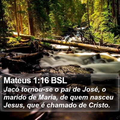 Mateus 1:16 BSL Bible Verse Image