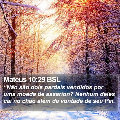 Mateus 10:29 BSL Bible Verse Image