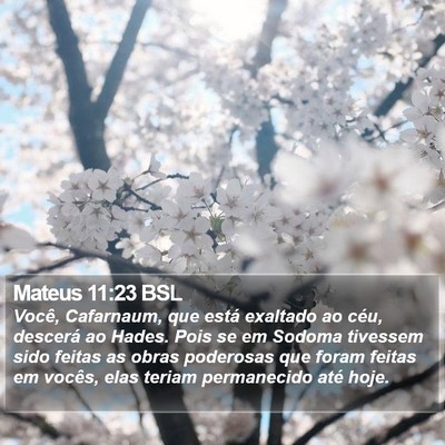 Mateus 11:23 BSL Bible Verse Image