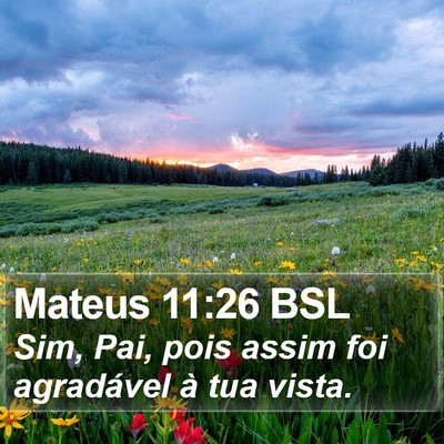 Mateus 11:26 BSL Bible Verse Image