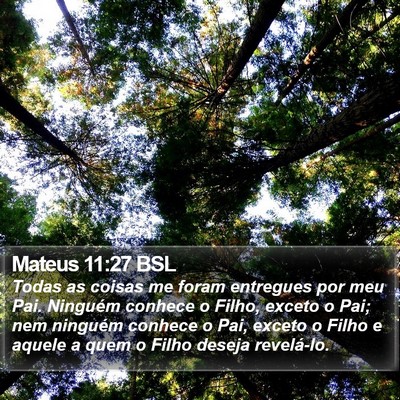 Mateus 11:27 BSL Bible Verse Image
