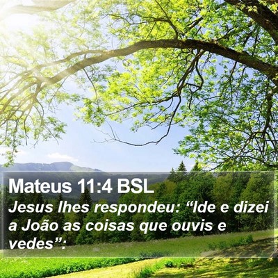 Mateus 11:4 BSL Bible Verse Image