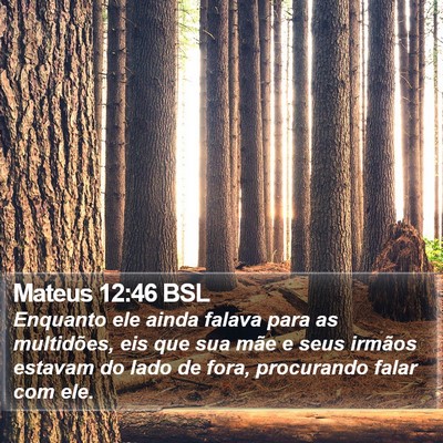 Mateus 12:46 BSL Bible Verse Image