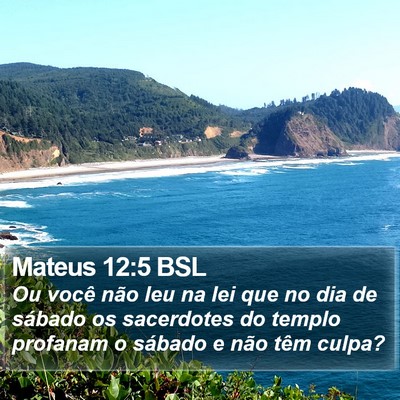 Mateus 12:5 BSL Bible Verse Image