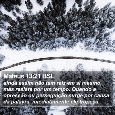 Mateus 13:21 BSL Bible Verse Image