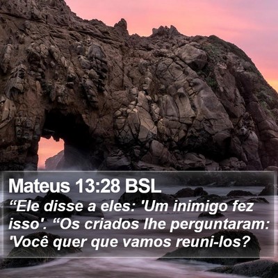 Mateus 13:28 BSL Bible Verse Image