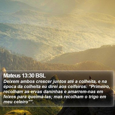 Mateus 13:30 BSL Bible Verse Image