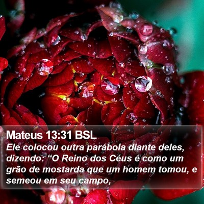 Mateus 13:31 BSL Bible Verse Image