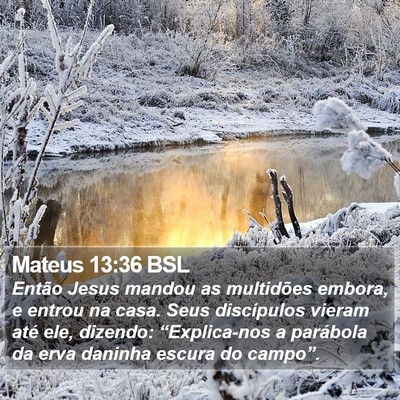 Mateus 13:36 BSL Bible Verse Image