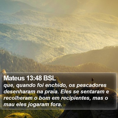 Mateus 13:48 BSL Bible Verse Image