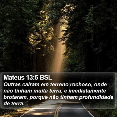 Mateus 13:5 BSL Bible Verse Image