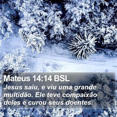 Mateus 14:14 BSL Bible Verse Image