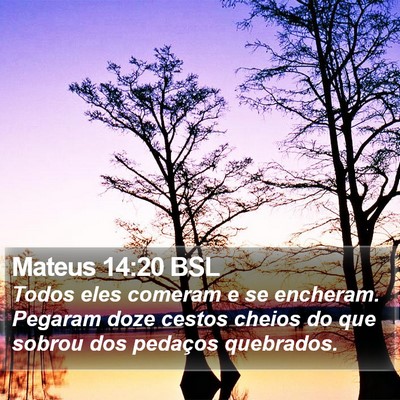 Mateus 14:20 BSL Bible Verse Image