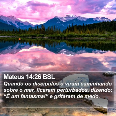 Mateus 14:26 BSL Bible Verse Image