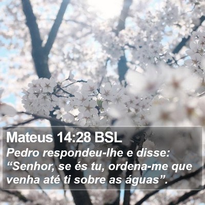 Mateus 14:28 BSL Bible Verse Image