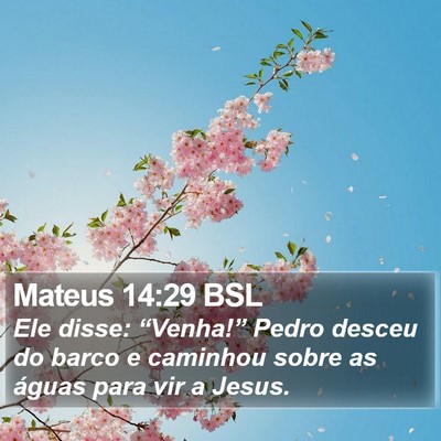 Mateus 14:29 BSL Bible Verse Image