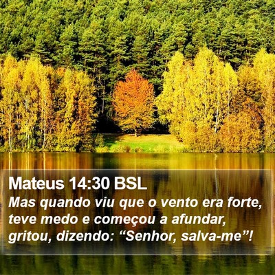 Mateus 14:30 BSL Bible Verse Image