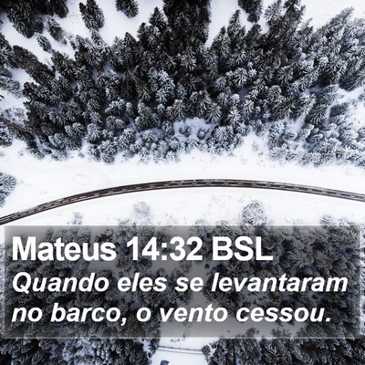 Mateus 14:32 BSL Bible Verse Image
