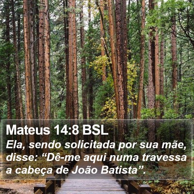Mateus 14:8 BSL Bible Verse Image