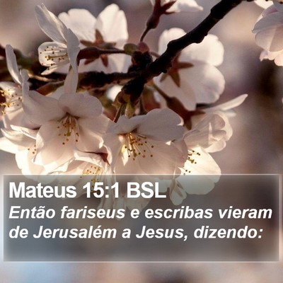 Mateus 15:1 BSL Bible Verse Image