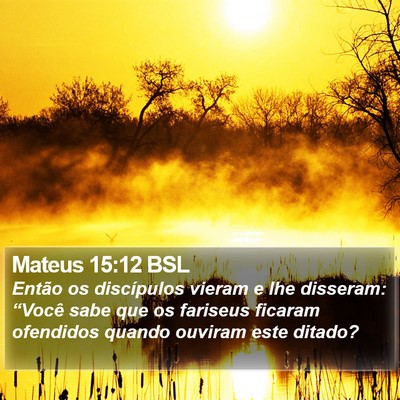 Mateus 15:12 BSL Bible Verse Image