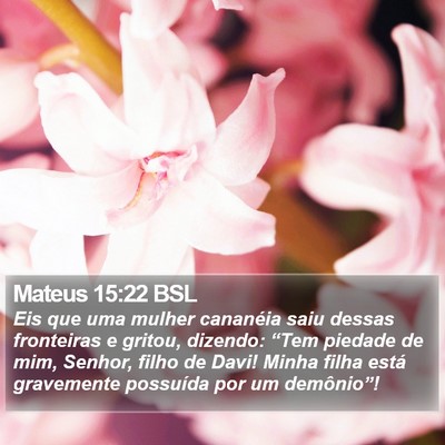 Mateus 15:22 BSL Bible Verse Image