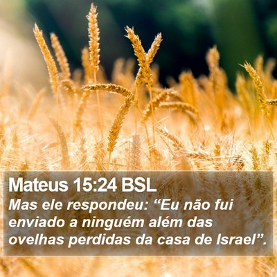 Mateus 15:24 BSL Bible Verse Image