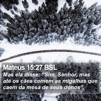 Mateus 15:27 BSL Bible Verse Image