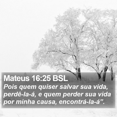 Mateus 16:25 BSL Bible Verse Image