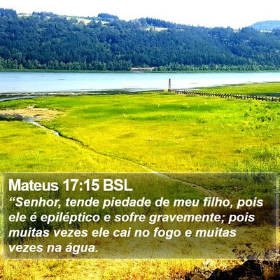 Mateus 17:15 BSL Bible Verse Image