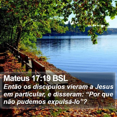 Mateus 17:19 BSL Bible Verse Image