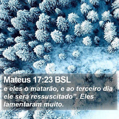 Mateus 17:23 BSL Bible Verse Image