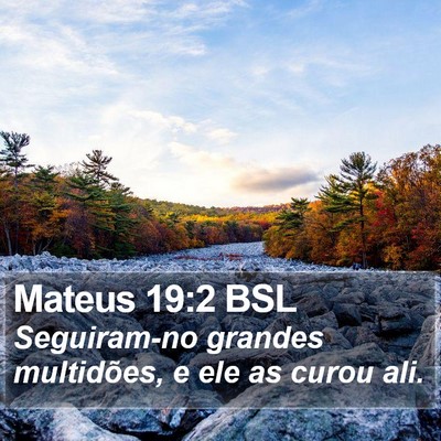 Mateus 19:2 BSL Bible Verse Image