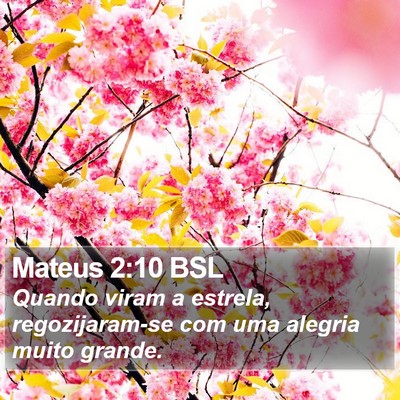 Mateus 2:10 BSL Bible Verse Image