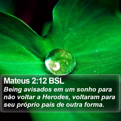 Mateus 2:12 BSL Bible Verse Image