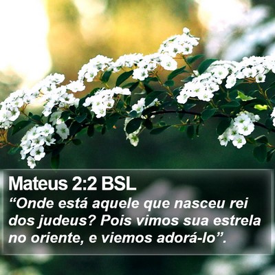 Mateus 2:2 BSL Bible Verse Image