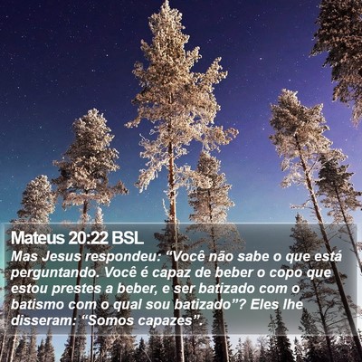 Mateus 20:22 BSL Bible Verse Image