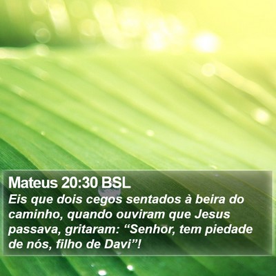 Mateus 20:30 BSL Bible Verse Image