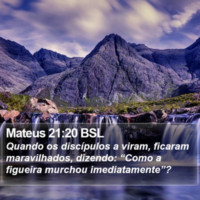 Mateus 21:20 BSL Bible Verse Image