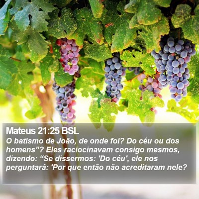 Mateus 21:25 BSL Bible Verse Image