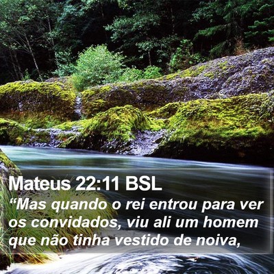 Mateus 22:11 BSL Bible Verse Image