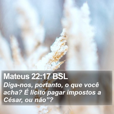 Mateus 22:17 BSL Bible Verse Image