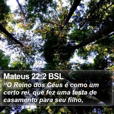 Mateus 22:2 BSL Bible Verse Image