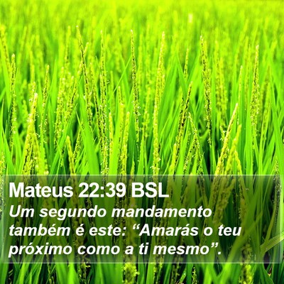 Mateus 22:39 BSL Bible Verse Image