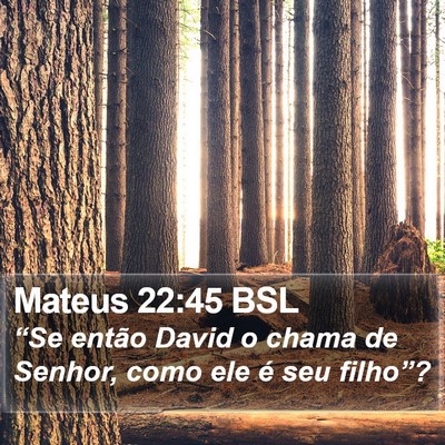 Mateus 22:45 BSL Bible Verse Image