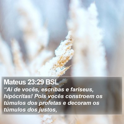 Mateus 23:29 BSL Bible Verse Image
